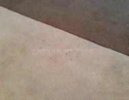 Химчистка ковров и ковровых покрытий - Фото 7