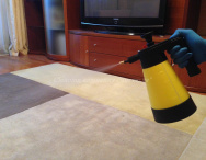 Химчистка ковров и ковровых покрытий - Фото 10