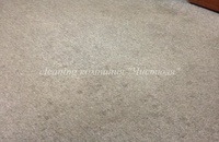 Химчистка коврового покрытия в Банке - Фото 31